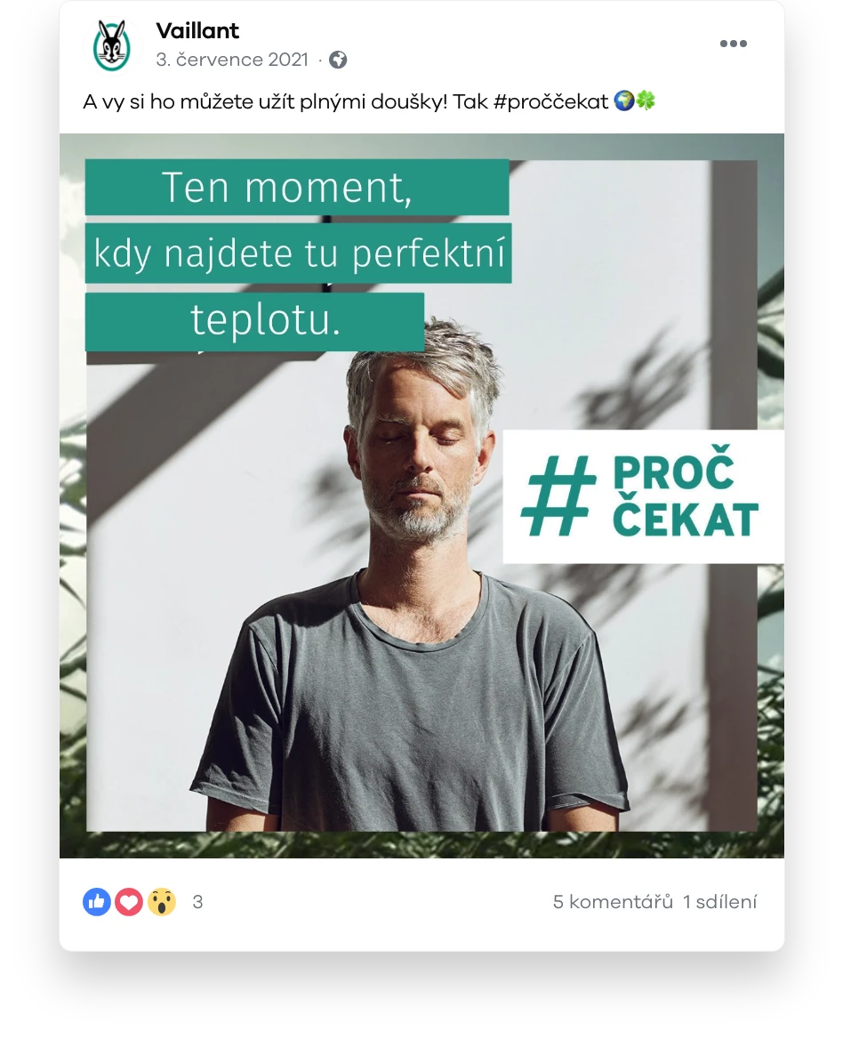 vaillant-post-5.png