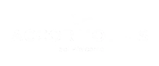 Accor-Hotels.png