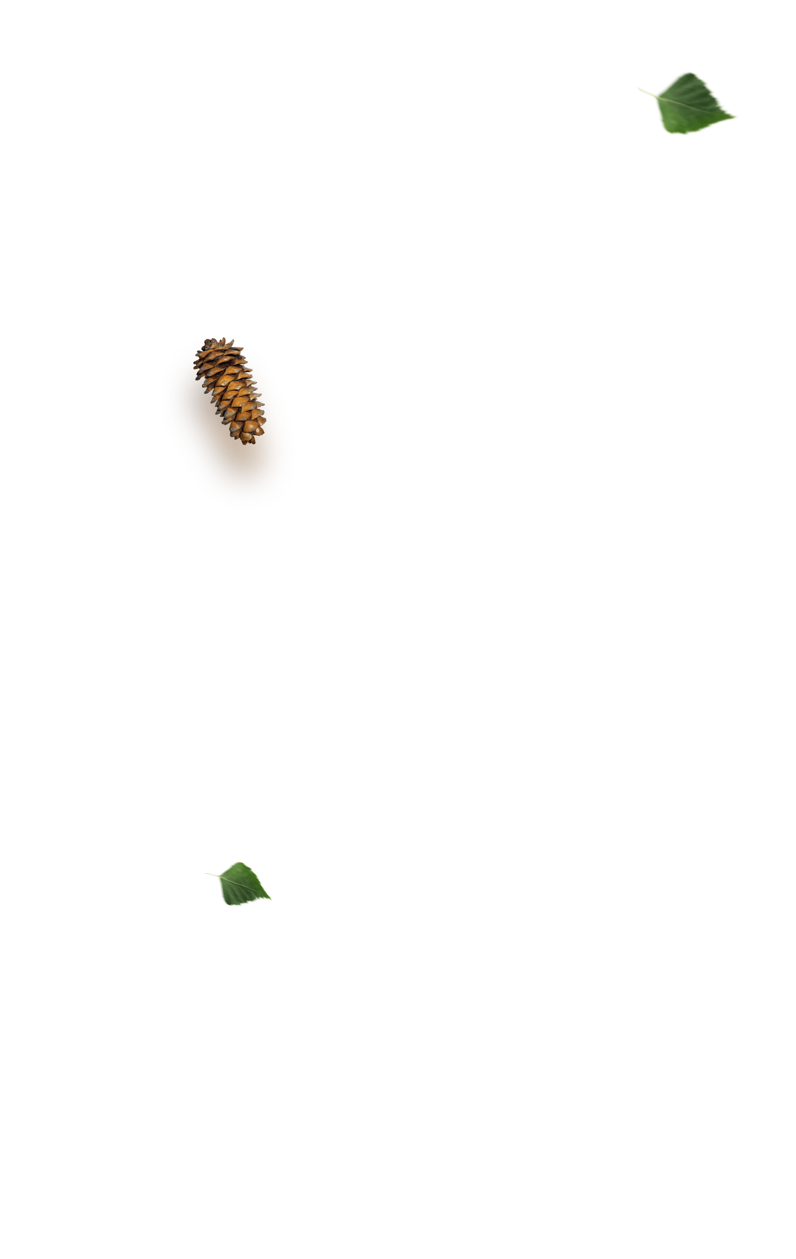 trevor-webovy-portal-1.png