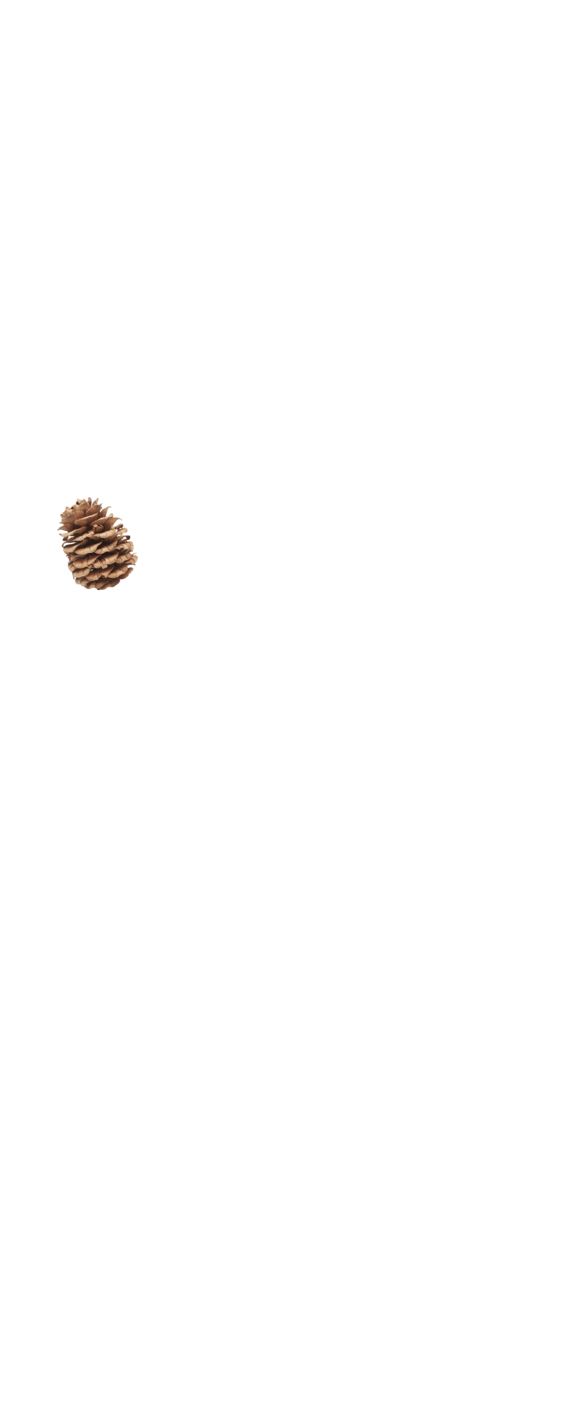 fullscreen_siska1.png