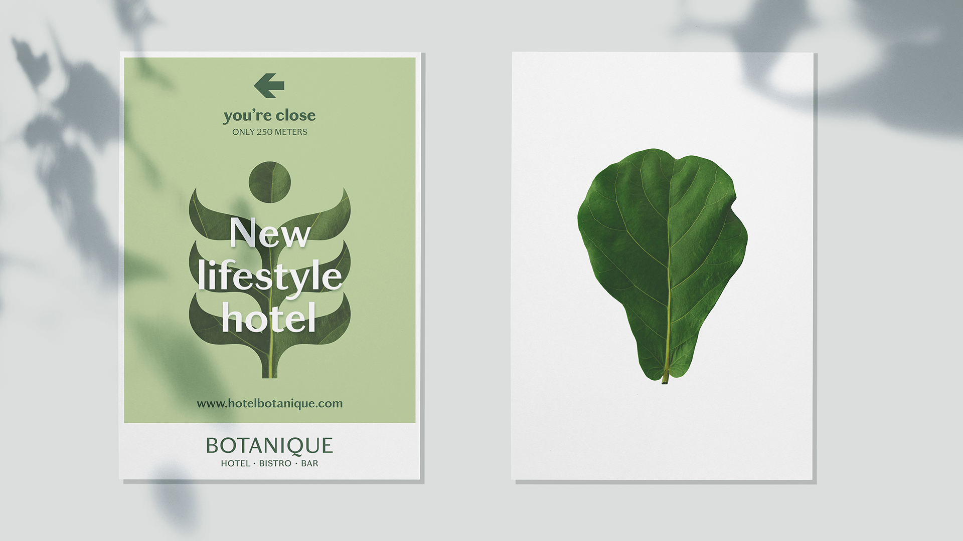 botanique-visual.png