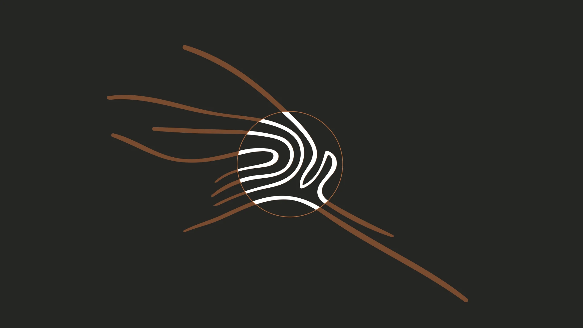 purkard-logo3.png