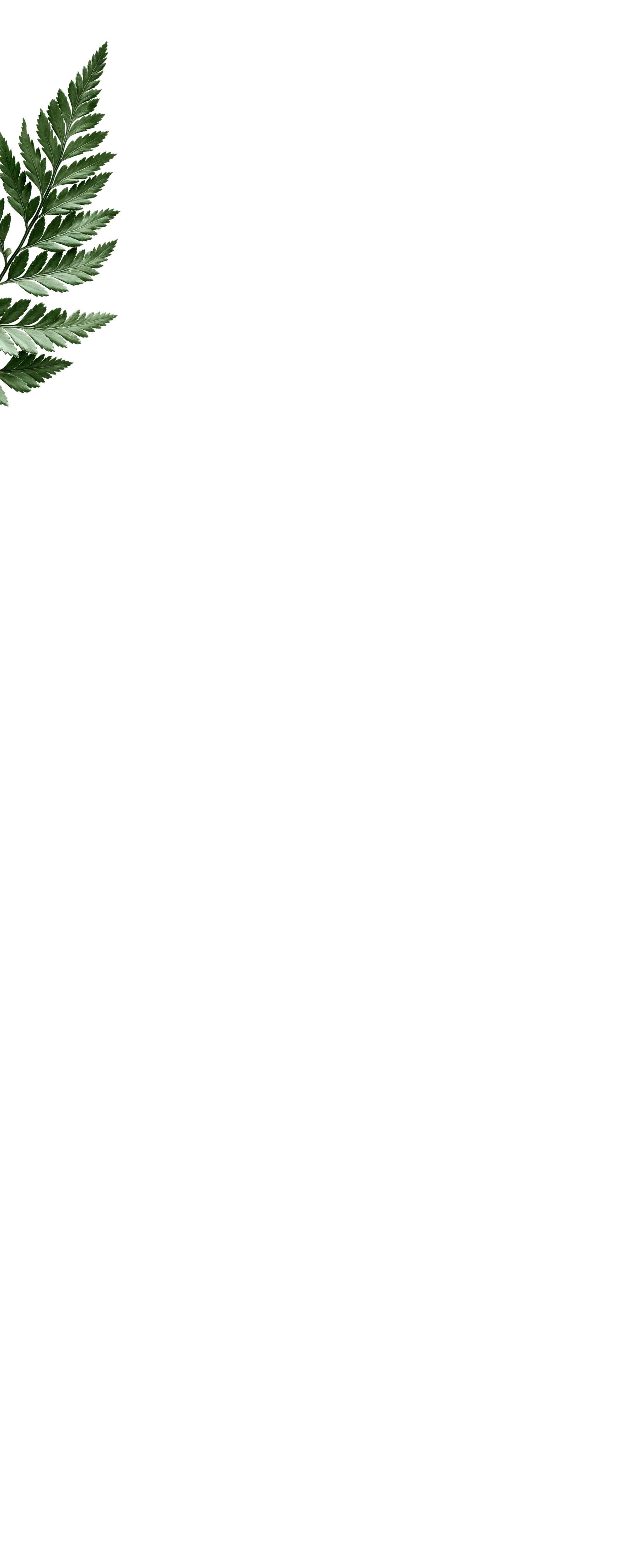 fullscreen_kapradina1.png