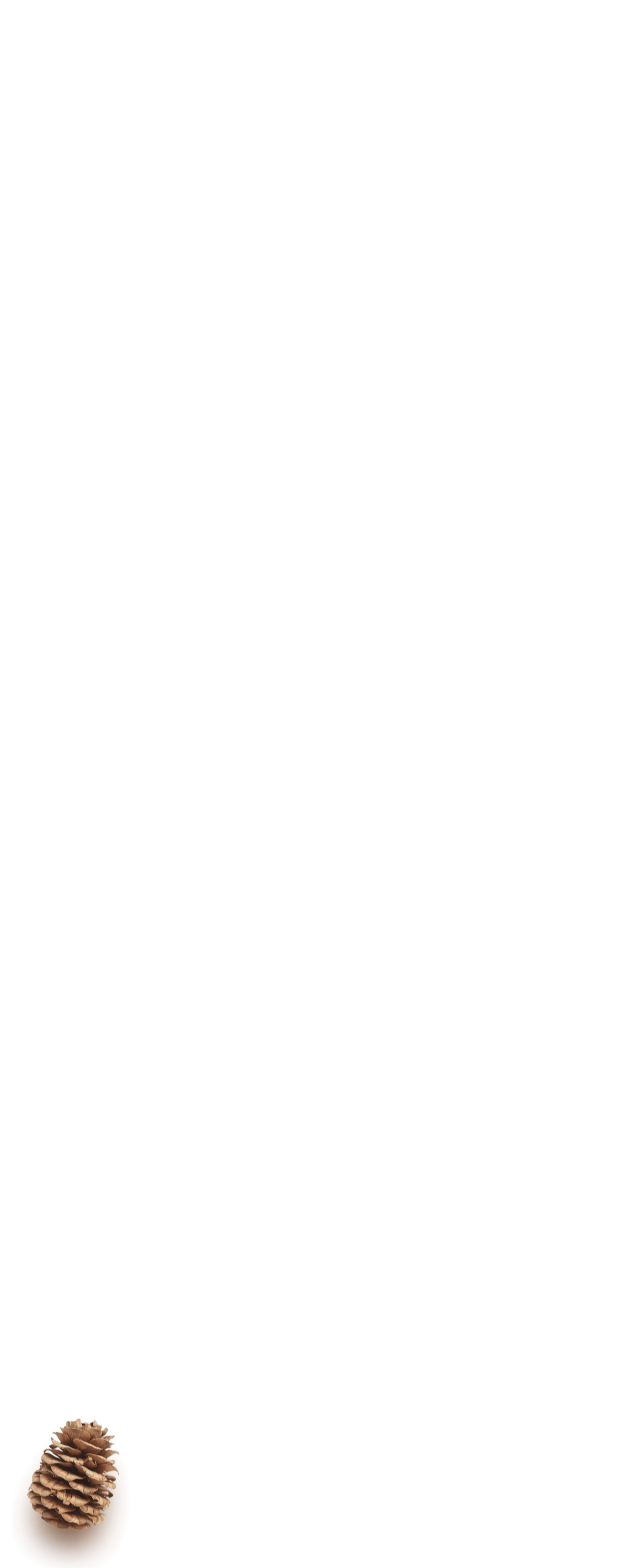 fullscreen_siska3.png