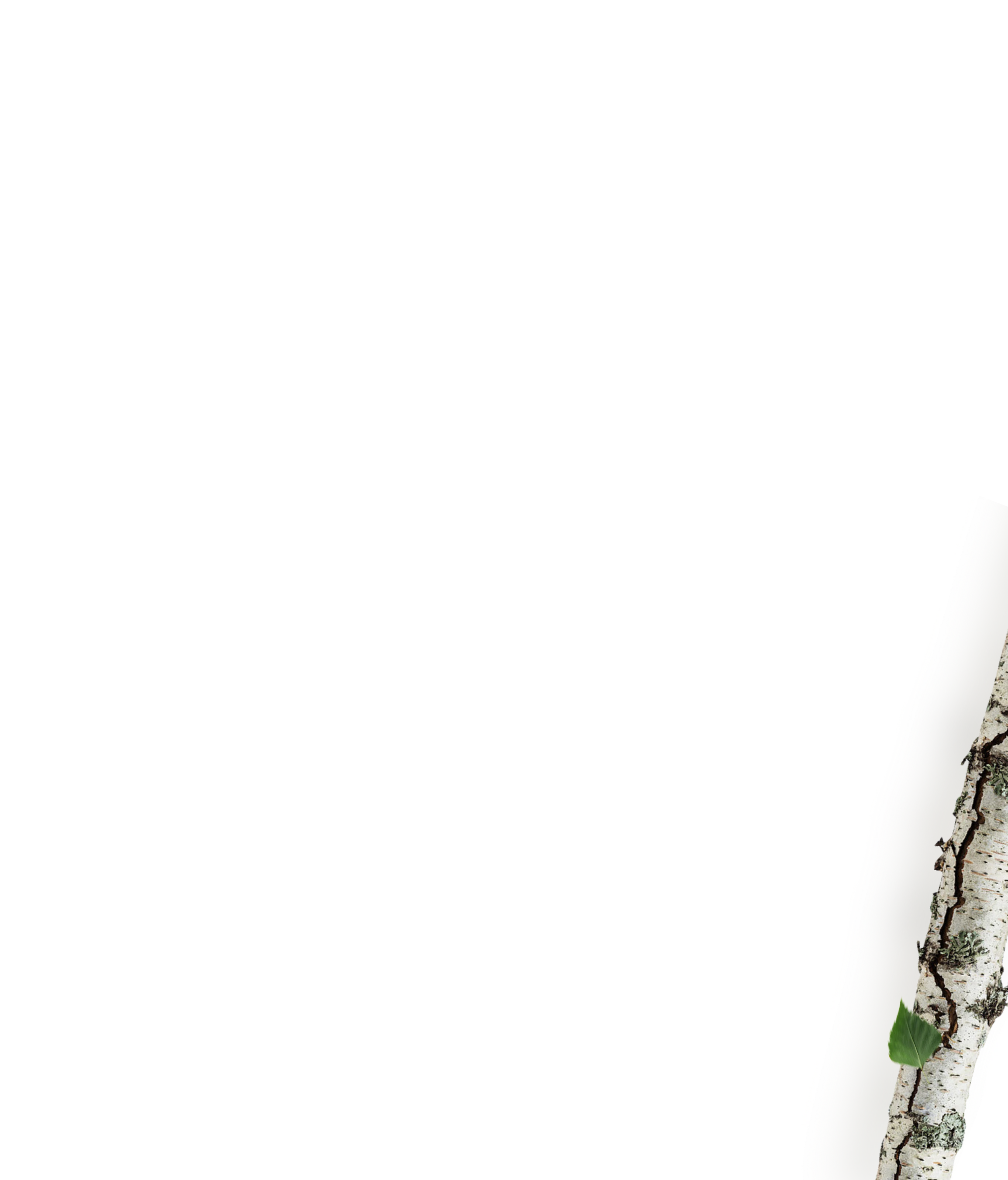 trevor-webovy-portal-4.png