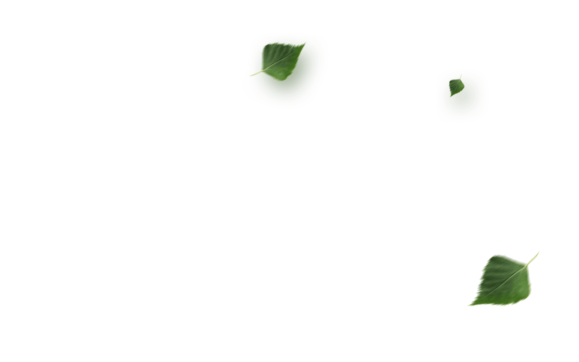 trevor-leaves.png