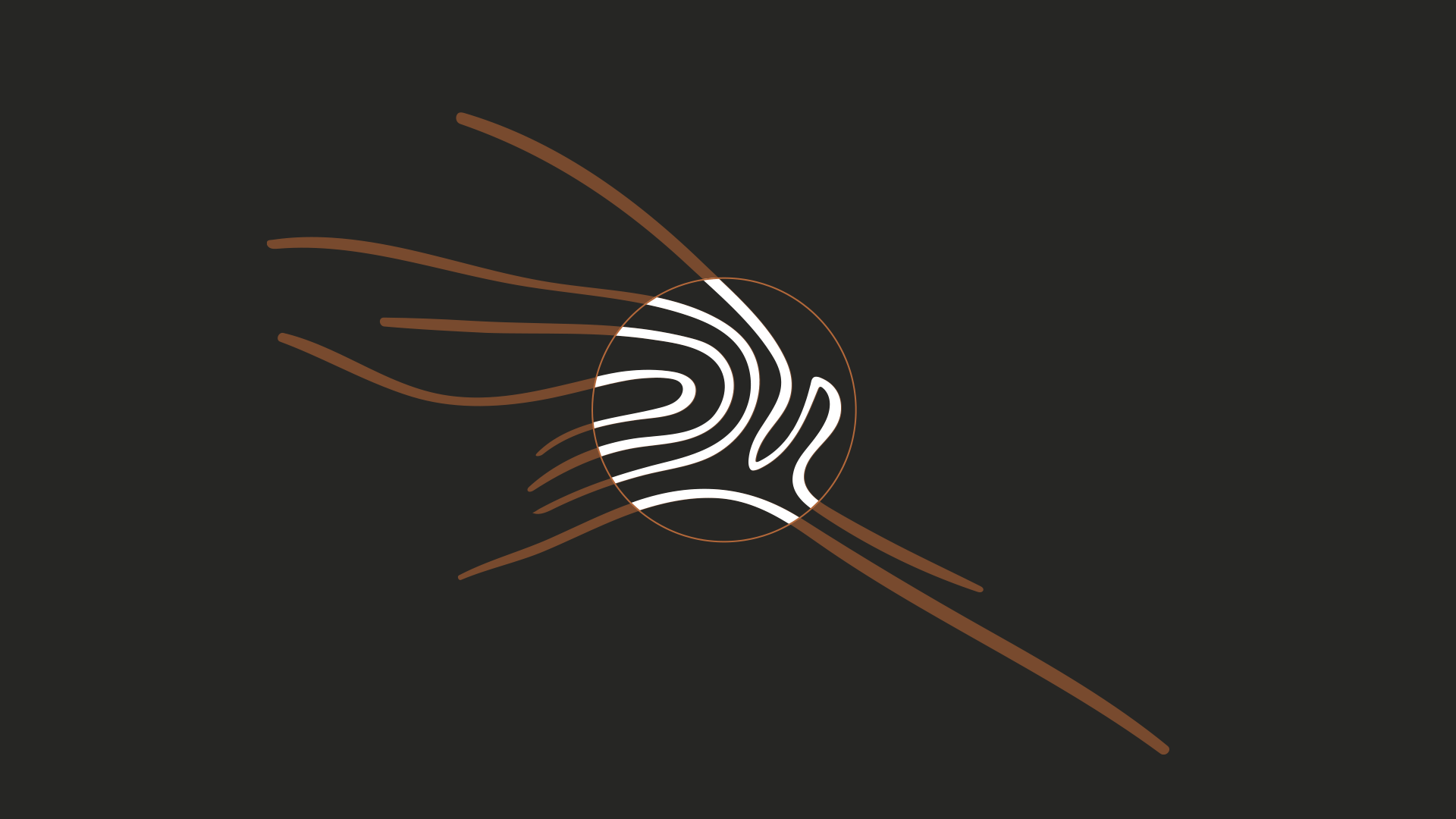 purkard-logo3.png