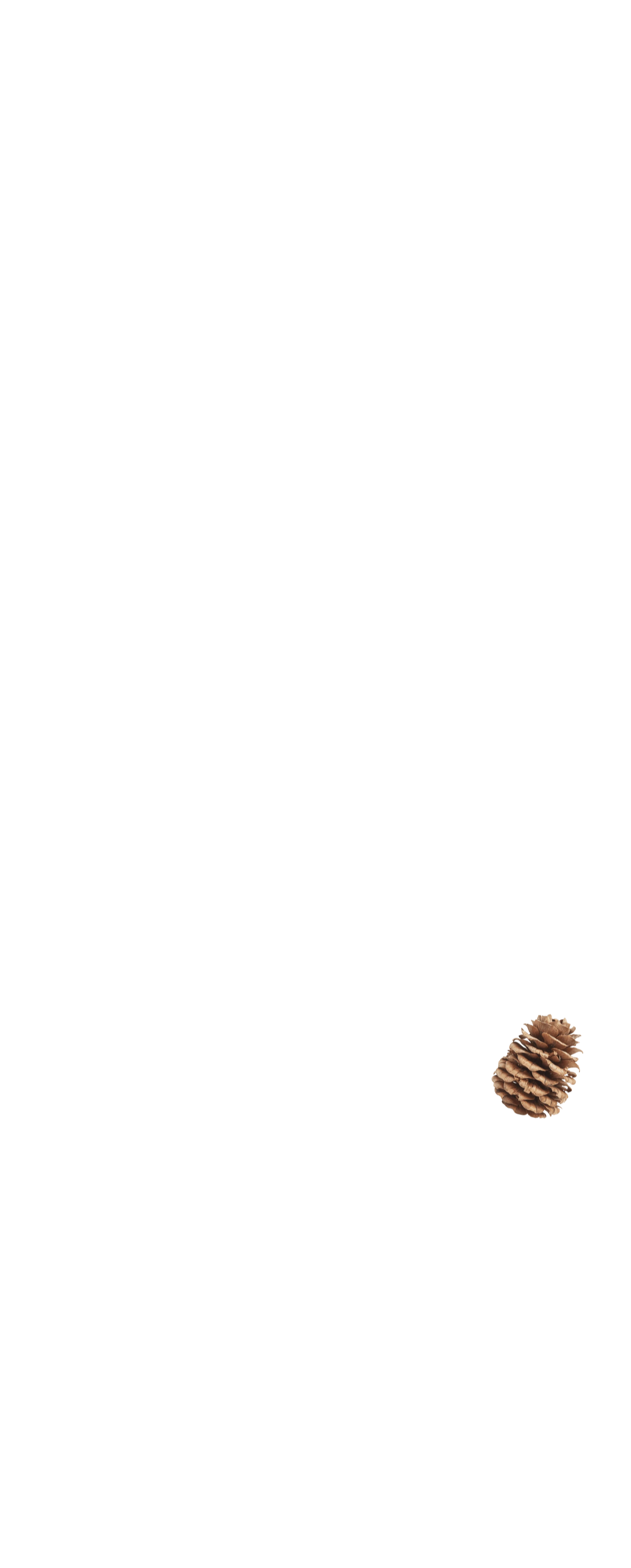 fullscreen_siska2.png