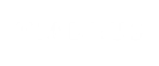 Viadrus.png