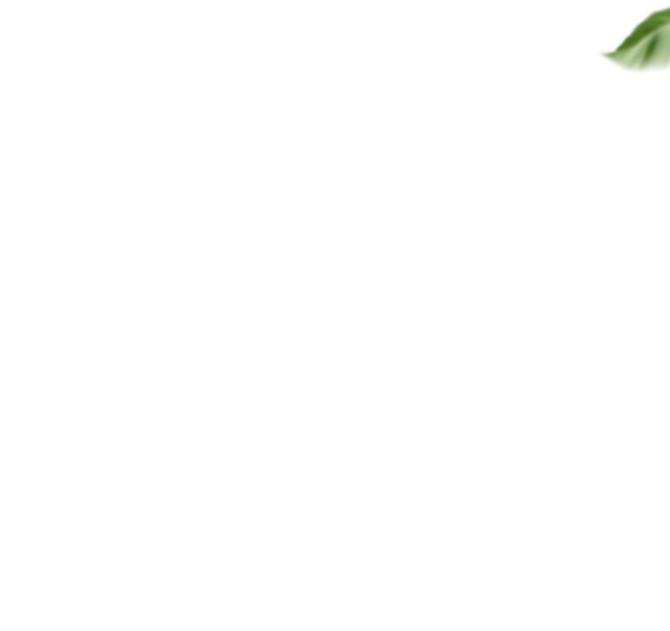 16_Obchod.png