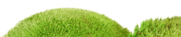 moss.png
