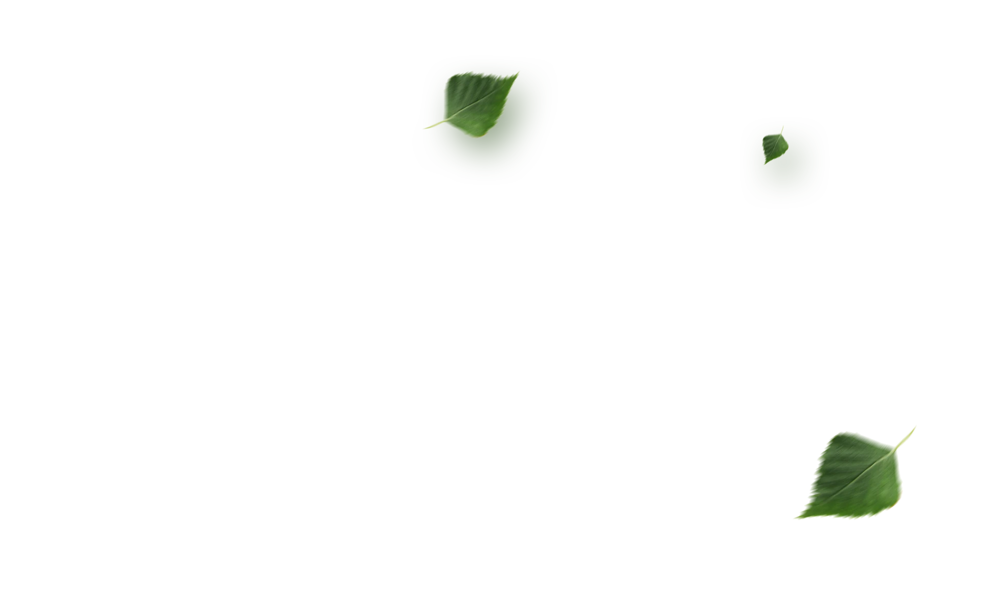 trevor-leaves.png